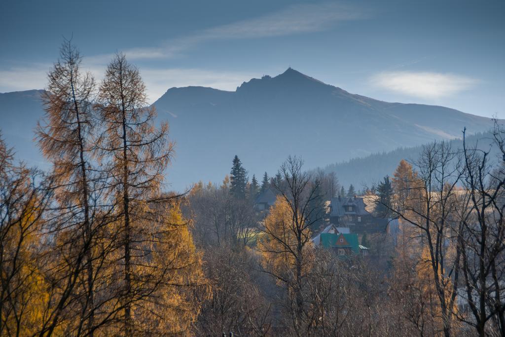 Willa Gardenia Zakopane Room photo